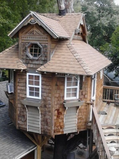 Tree House Office